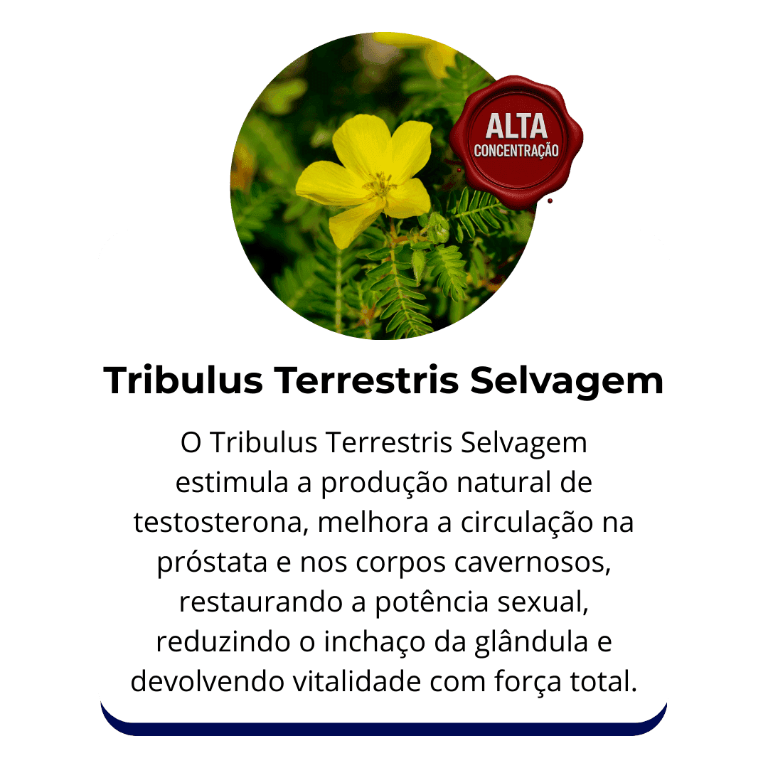 Tribulus Terrestris Selvagem