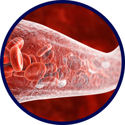 Passo 2 do tratamento com ZenProst